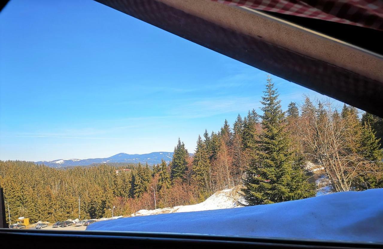 Papa Moose Pamporovo Apartment Bagian luar foto