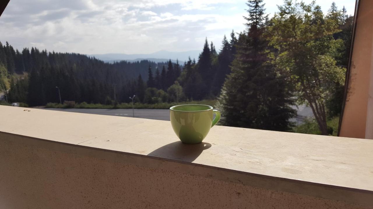 Papa Moose Pamporovo Apartment Bagian luar foto